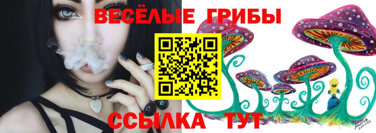 Галлюциногенные грибы ЛСД  Галлюциногенные грибы Psilocybine cubensis  Феодосия  Вход с VPN 